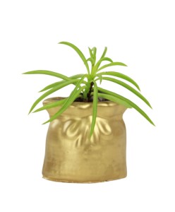 Mini Çiçek Saksı Küçük Sukulent Altın Kaktüs Saksısı Kese Model